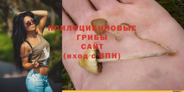 эйфоретик Горнозаводск