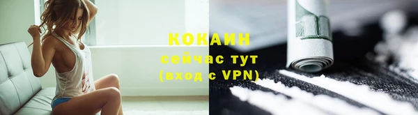 первитин Гусев
