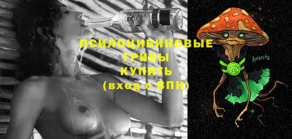 PSILOCYBIN Гусиноозёрск