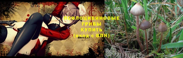 соль курить ск Горняк