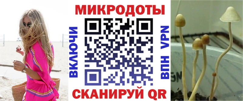где купить   Завитинск  Галлюциногенные грибы ЛСД 