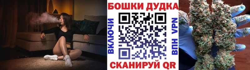 Канабис план  купить закладку  ОМГ ОМГ зеркало  Завитинск 